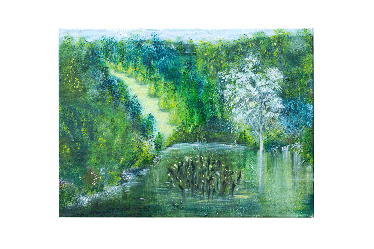 Weiher im Wald